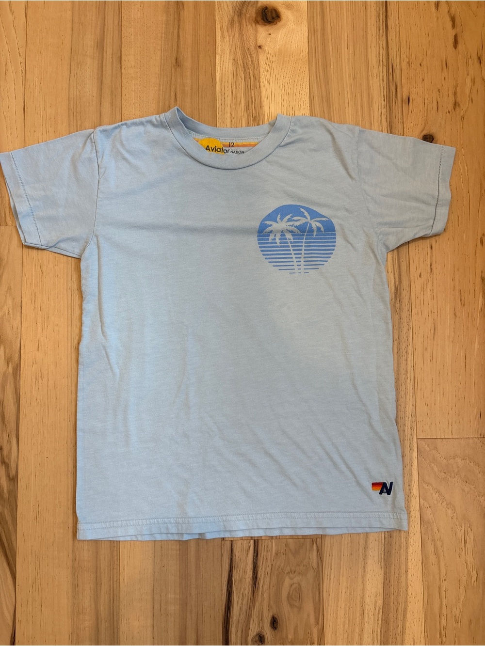 Aviator Nation Kids Pale Blue Palm Circle Graphic Tee